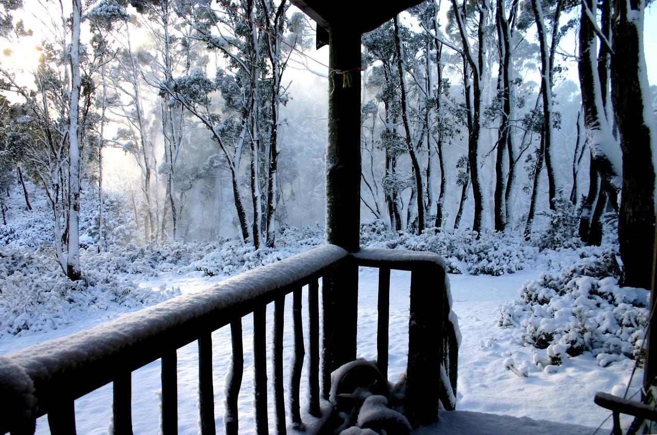 Wombat Cabin Villa Moina Eksteriør billede