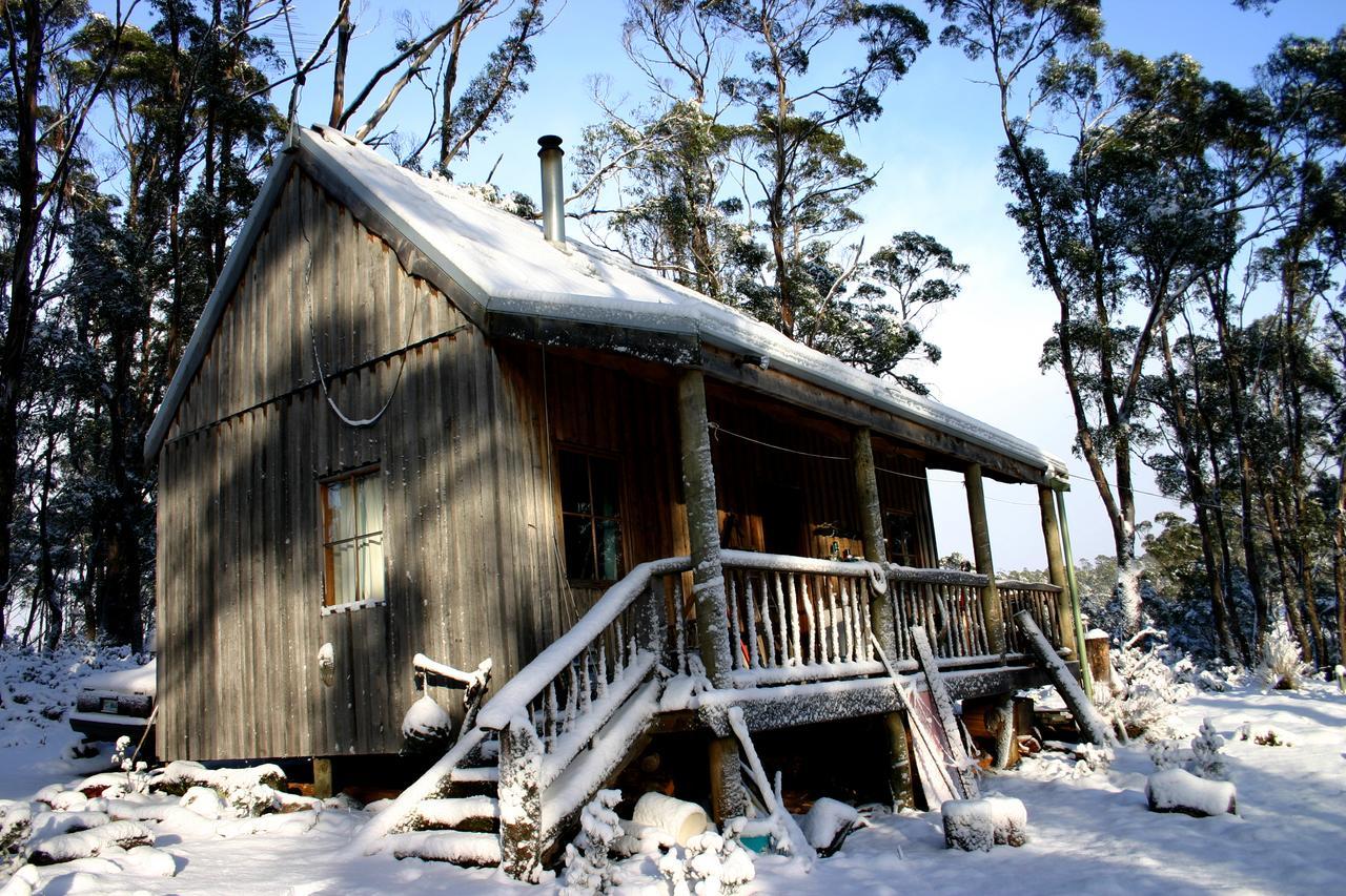 Wombat Cabin Villa Moina Eksteriør billede