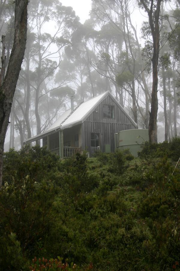 Wombat Cabin Villa Moina Eksteriør billede